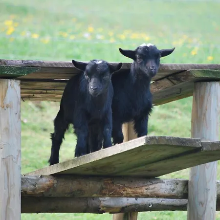 Appartamento Zur Schauinslandbahn